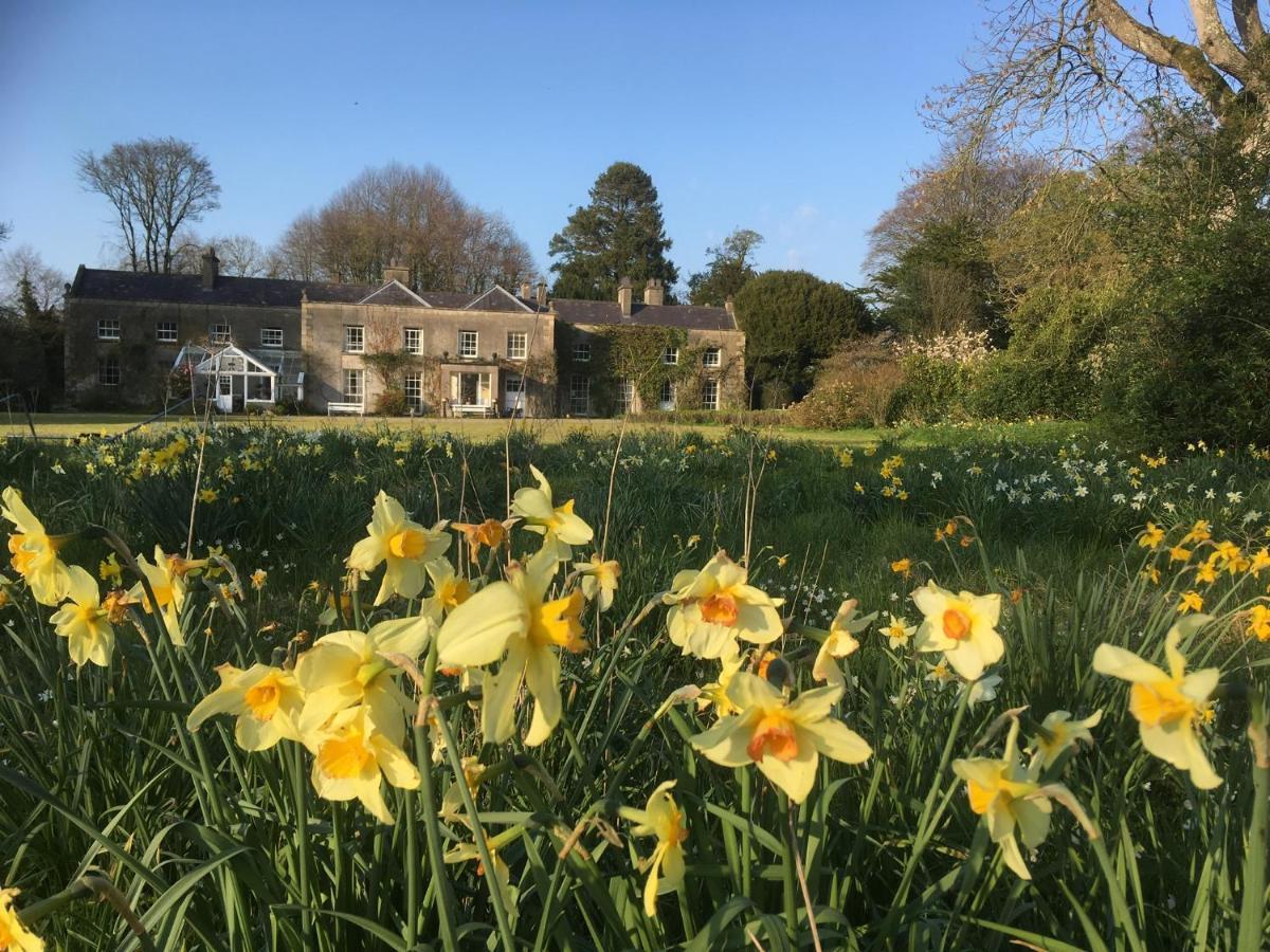 O'Harabrook Country House Ballymoney Ngoại thất bức ảnh